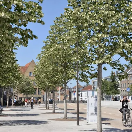 The 5 3* Brugge